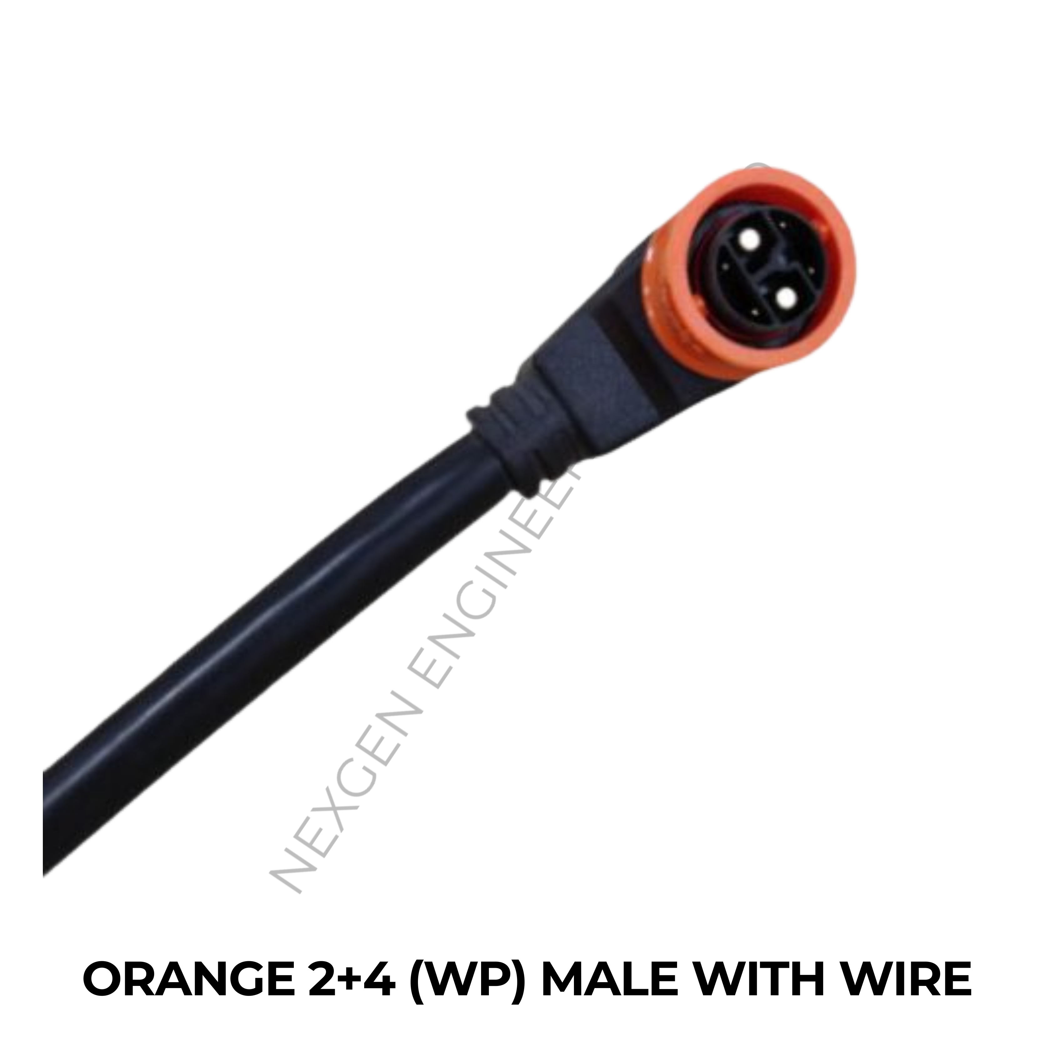 ORANGE 2+4 (WP) MALE WITH WIRE