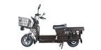 NT- LOADER (ELECTRIC SCOOTER)