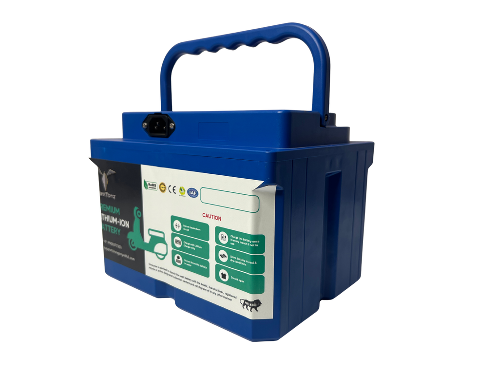 NexTorq LFP (8S) 24V 24AH EV Battery Pack
